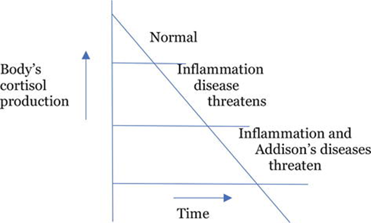 Diagram of body's cortisol production and inflammation disease
