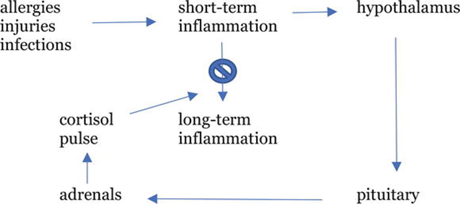 Diagram of cause of inflammation disease